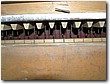 P5150110.JPG