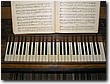 P6130040.JPG